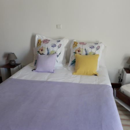 레겐고스 데 몬사라즈 Casa De Campo Quinta Sao Jorge 빌라 외부 사진