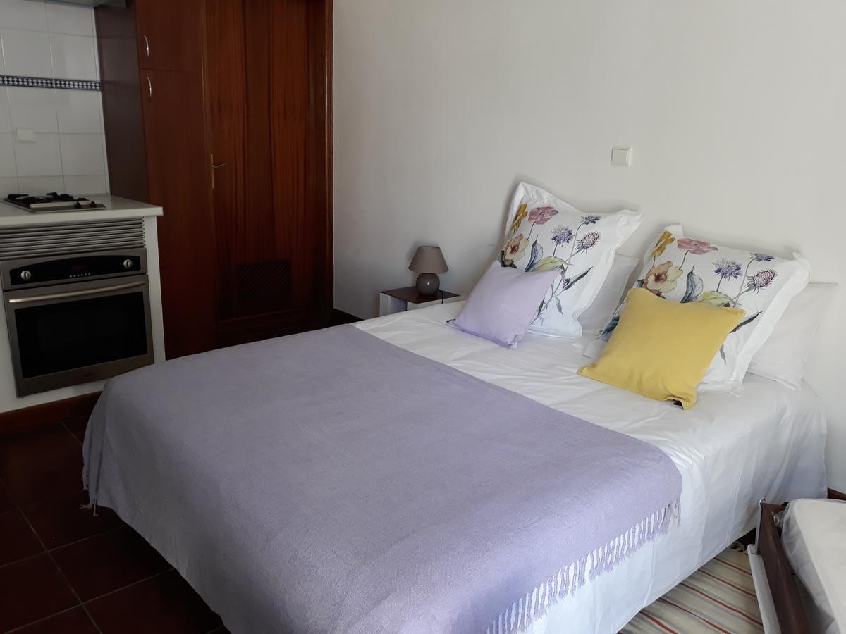 레겐고스 데 몬사라즈 Casa De Campo Quinta Sao Jorge 빌라 외부 사진