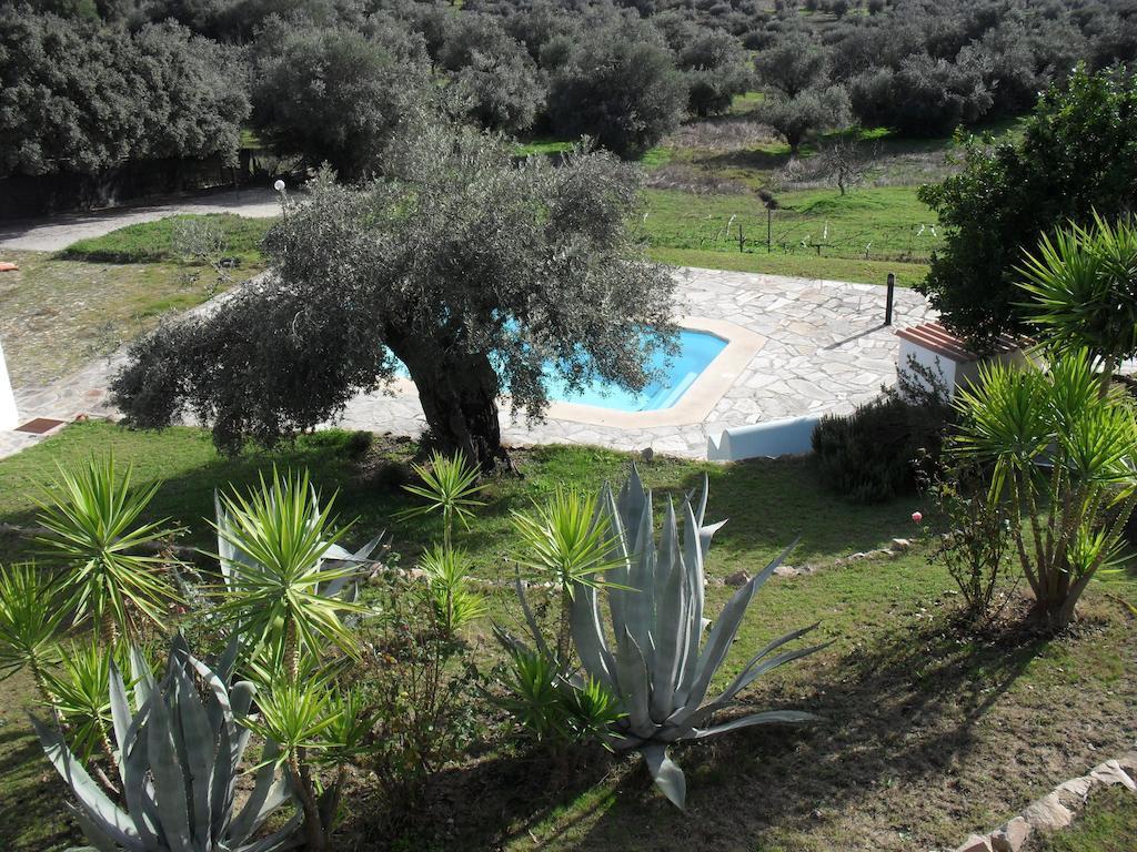 레겐고스 데 몬사라즈 Casa De Campo Quinta Sao Jorge 빌라 외부 사진